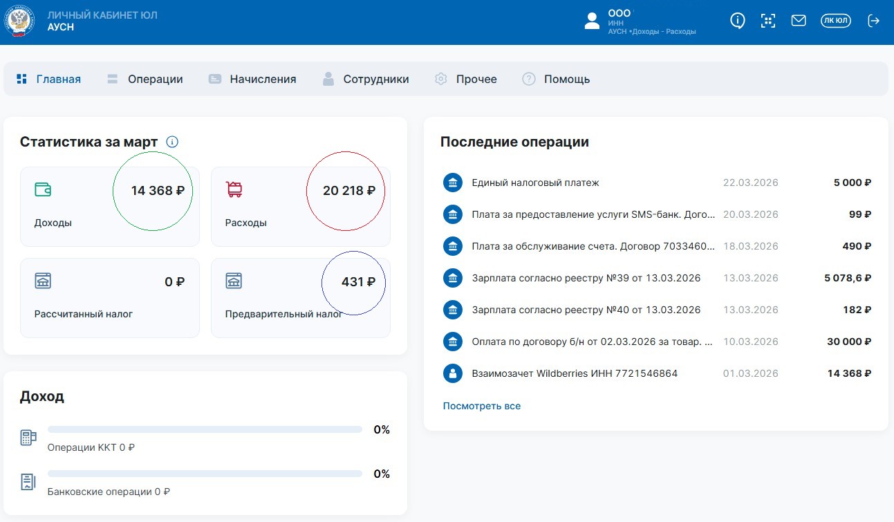 Раздел «Главное» с показателями доходов, расходов и рассчитанного налога